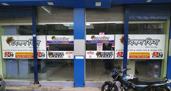 Bengal Fish Bangladesh – Best Fish Market Online photo 3