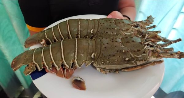 Bengal Fish Bangladesh – Best Fish Market Online photo 4