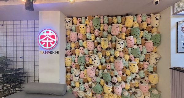 CHAMICHI BASUNDHARA photo 4