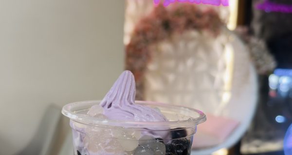 CHAMICHI DHANMONDI photo 4