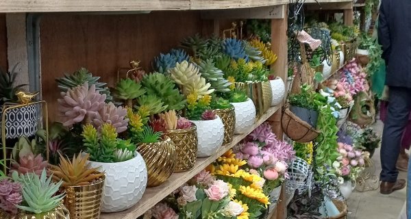 Dhaka New Market photo 5