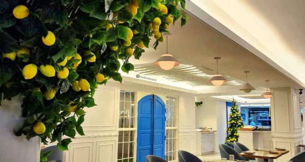 Evviva Italian Ristorante photo 4