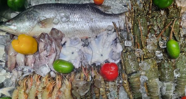 Fish n’ Grill photo 2