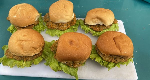 Fries Point BD photo 4