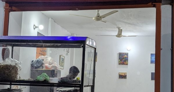 Fuchka Chemistry photo 5