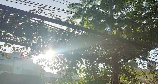 Garden Bistro photo 3