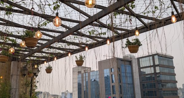 Grand Buffet photo 4