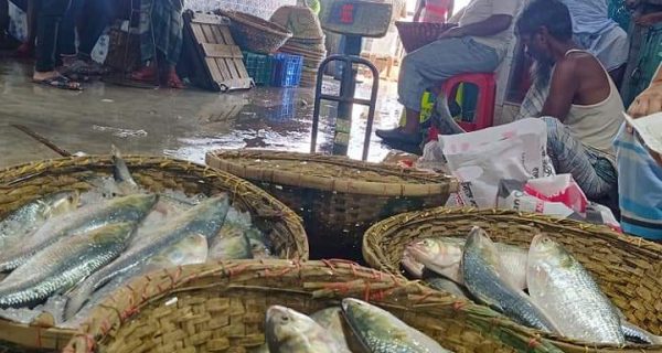 Jatrabari Fish Market photo 2