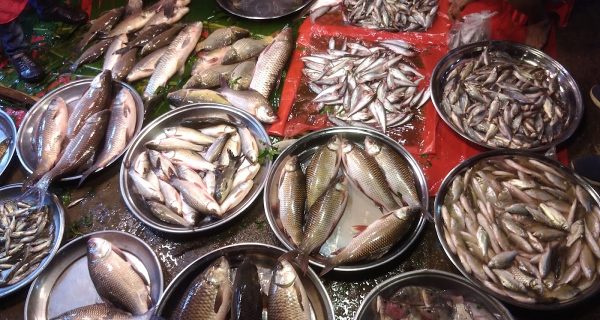 Jatrabari Fish Market photo 4