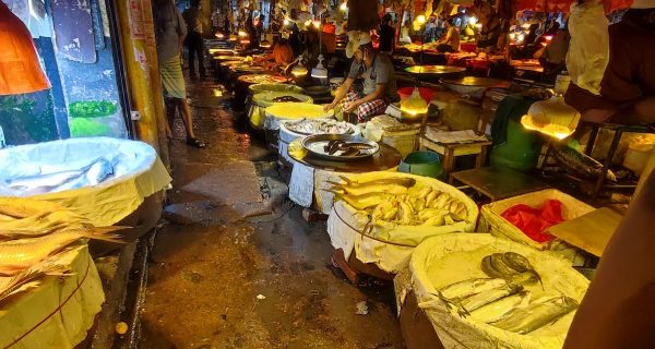 Kaptan Bazar Fish Market photo 2