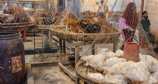 Kaptan Bazar Fish Market photo 3