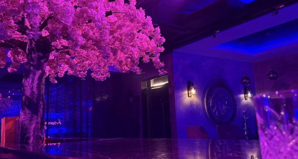 Montaña Lounge photo 3