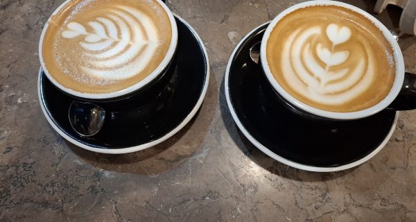 NORTH END coffee roasters LK Tower 2 photo 3