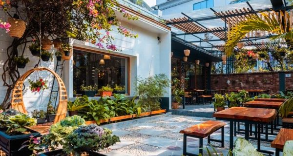 Pinewood: Cafe + Kitchen Dhanmondi, Road-6