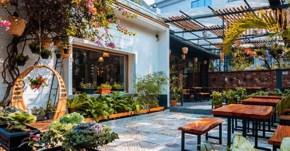 Pinewood: Cafe + Kitchen Dhanmondi, Road-6