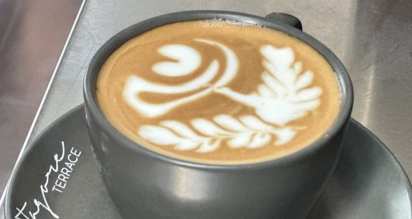 Tagore Terrace photo 3