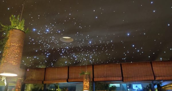 Tagore Terrace photo 4