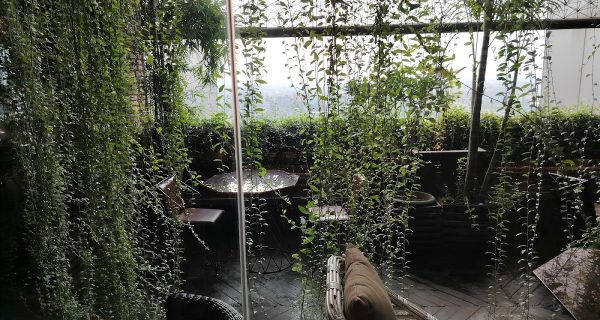 The Green Lounge Bashundhara R/A photo 5