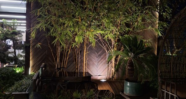 The Green Lounge photo 2