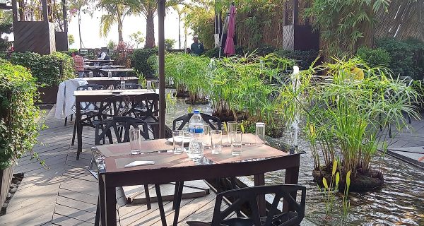 The Green Lounge photo 5