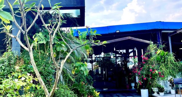 The Rainy Roof Restaurant photo 3