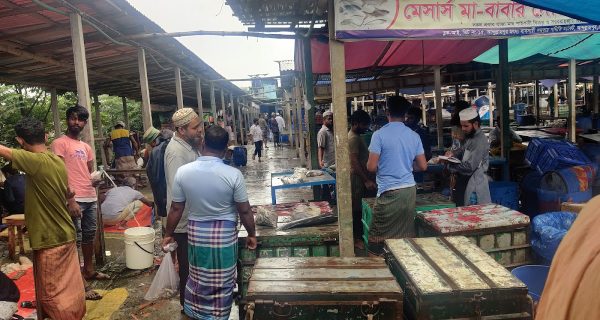 Tongi Wholesale Fish Market, Abdullapur