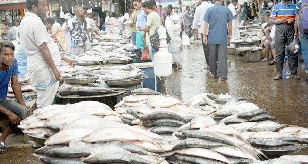 Tongi Wholesale Fish Market, Abdullapur photo 2
