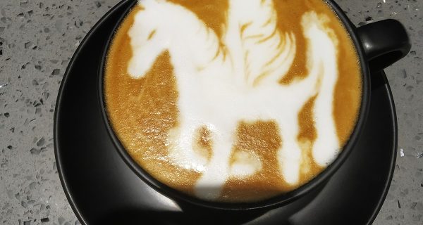 Urban Plates photo 4